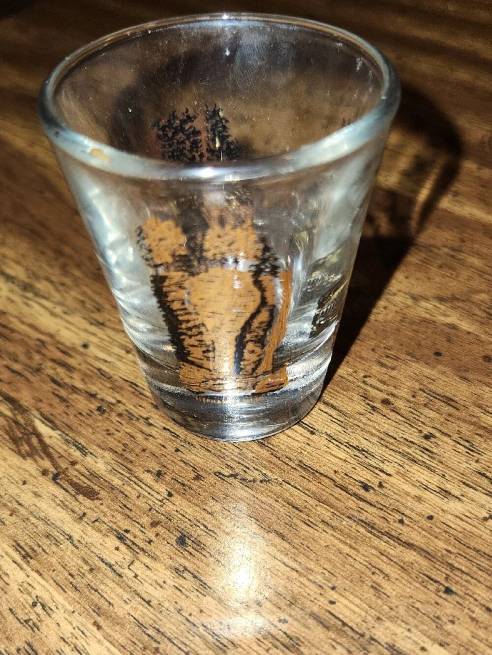 N/A decorative shot